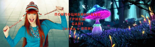гидра Арсеньев