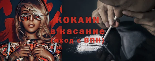 гидра Арсеньев