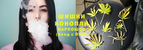 гидра Арсеньев
