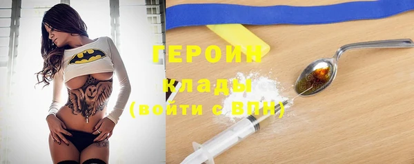 гидра Арсеньев