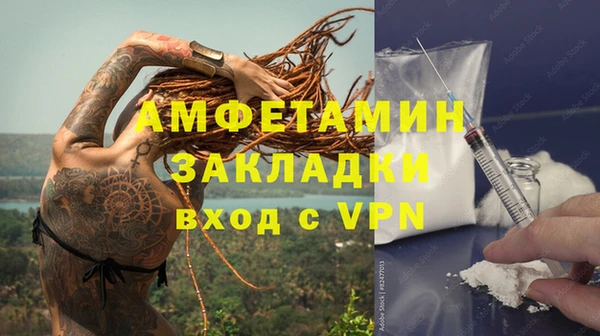 гидра Арсеньев
